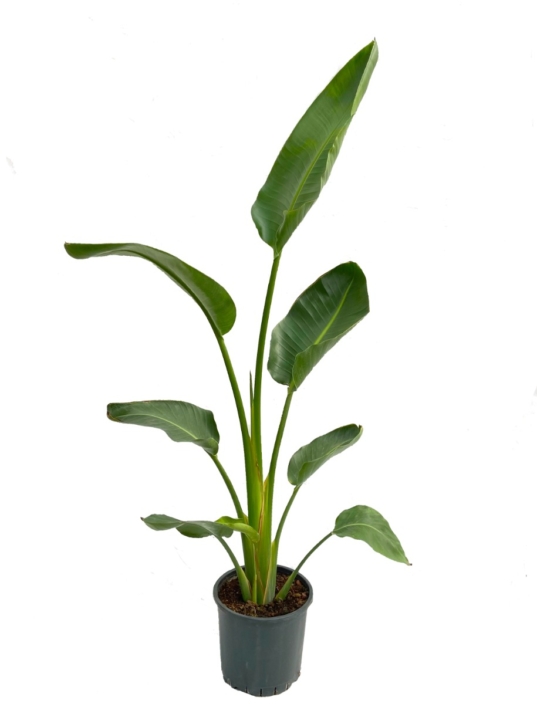 WhatsApp Görsel 2024-11-04 saat 13.39.10_428d1a67